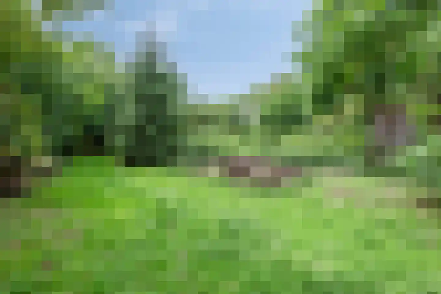 Waalbandijk 116 Dodewaard thumbnail 67