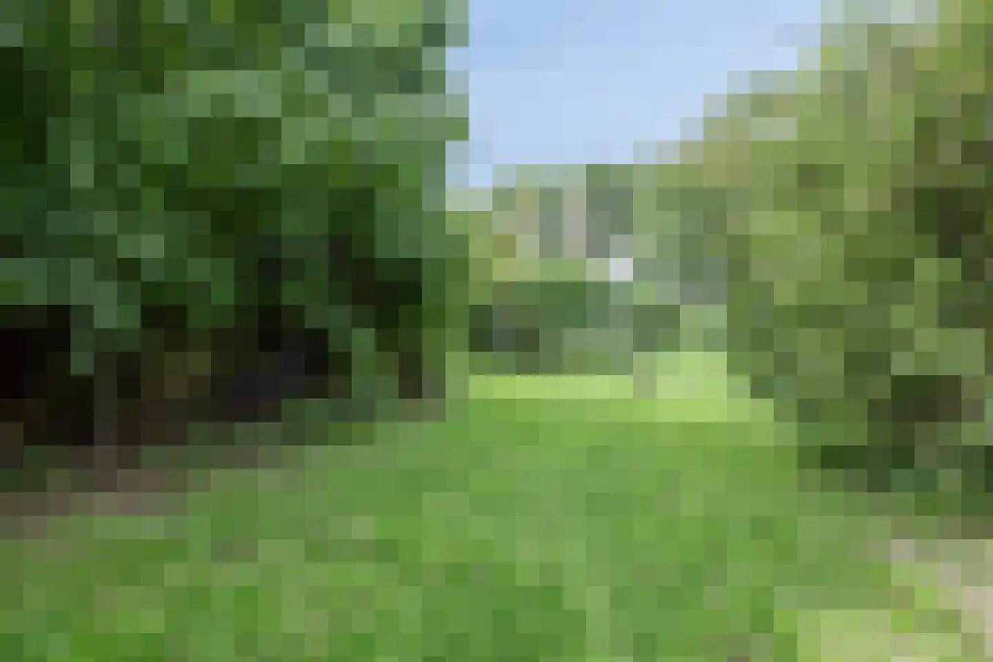 Waalbandijk 116 Dodewaard thumbnail 68