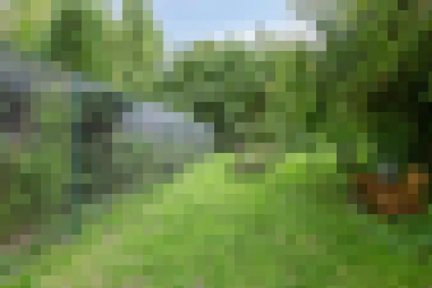 Waalbandijk 116 Dodewaard thumbnail 69