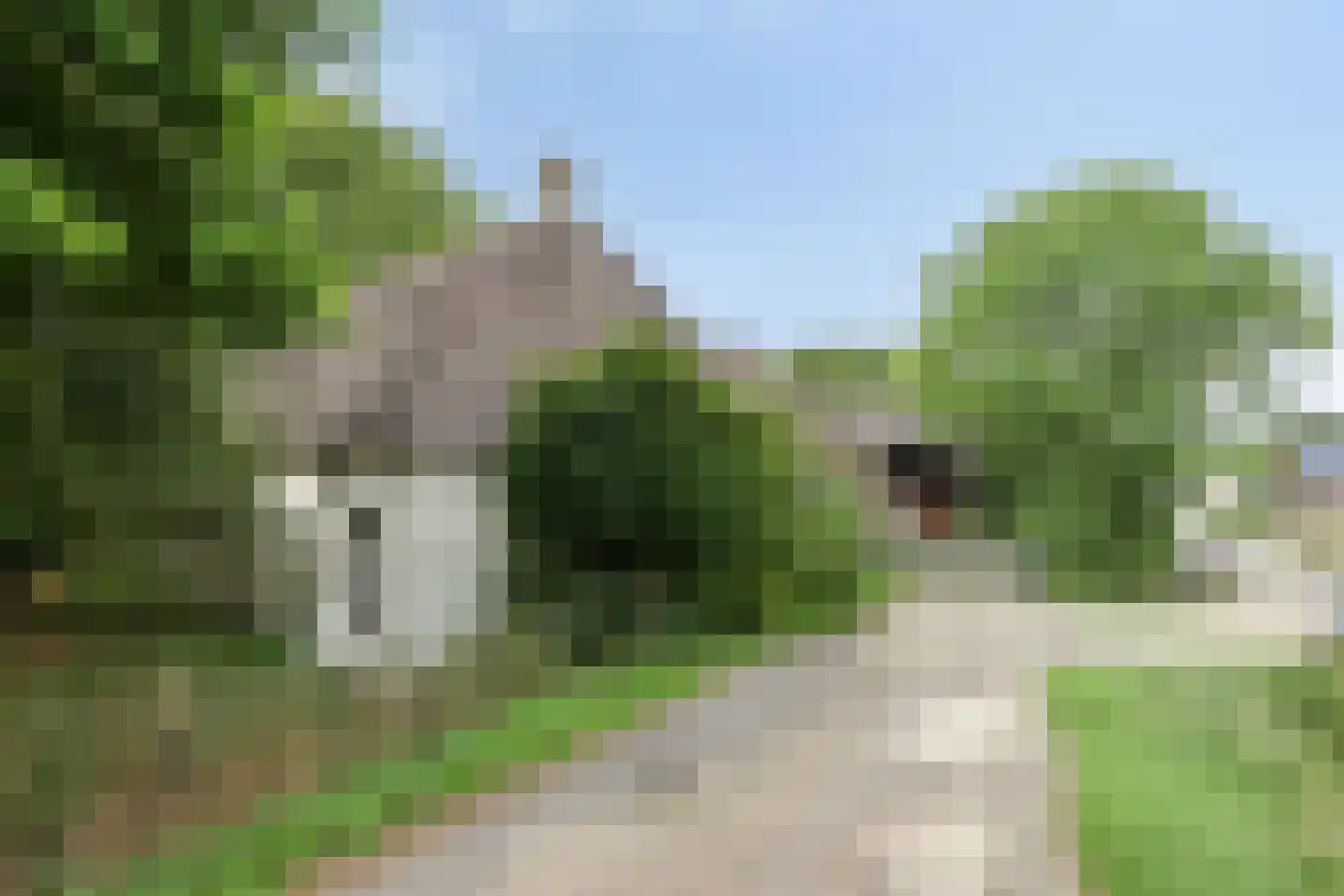 Waalbandijk 116 Dodewaard thumbnail 7