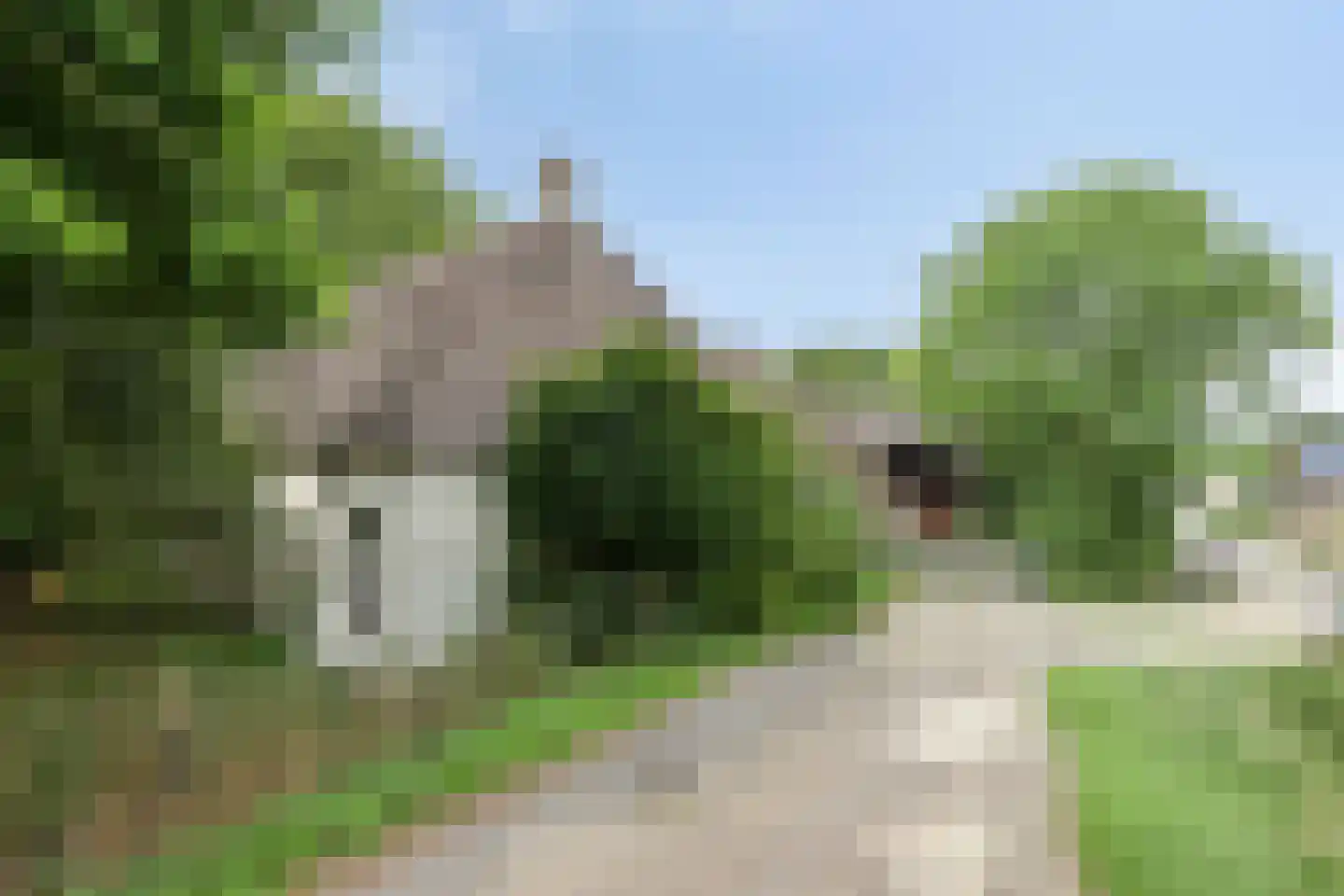 Waalbandijk 116 Dodewaard thumbnail 7
