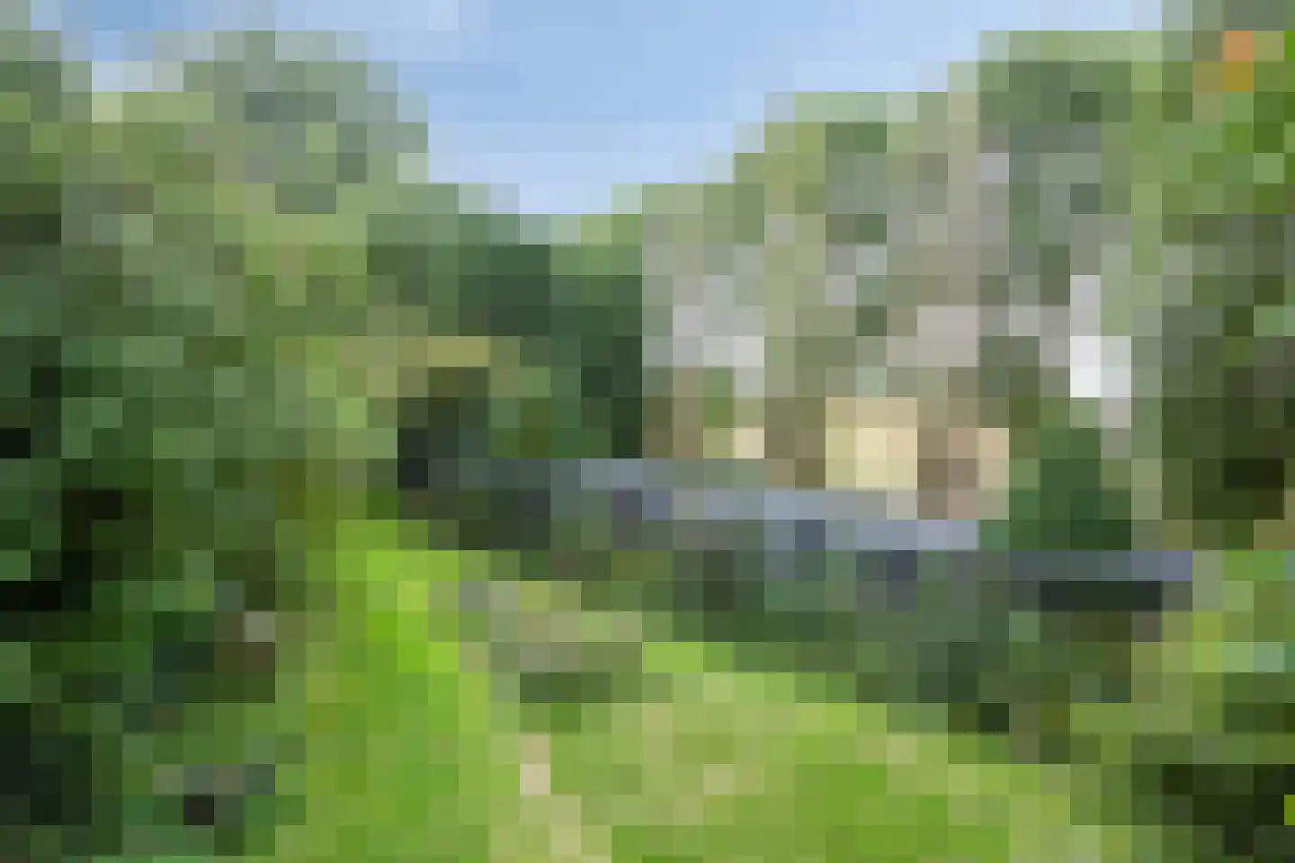 Waalbandijk 116 Dodewaard thumbnail 71