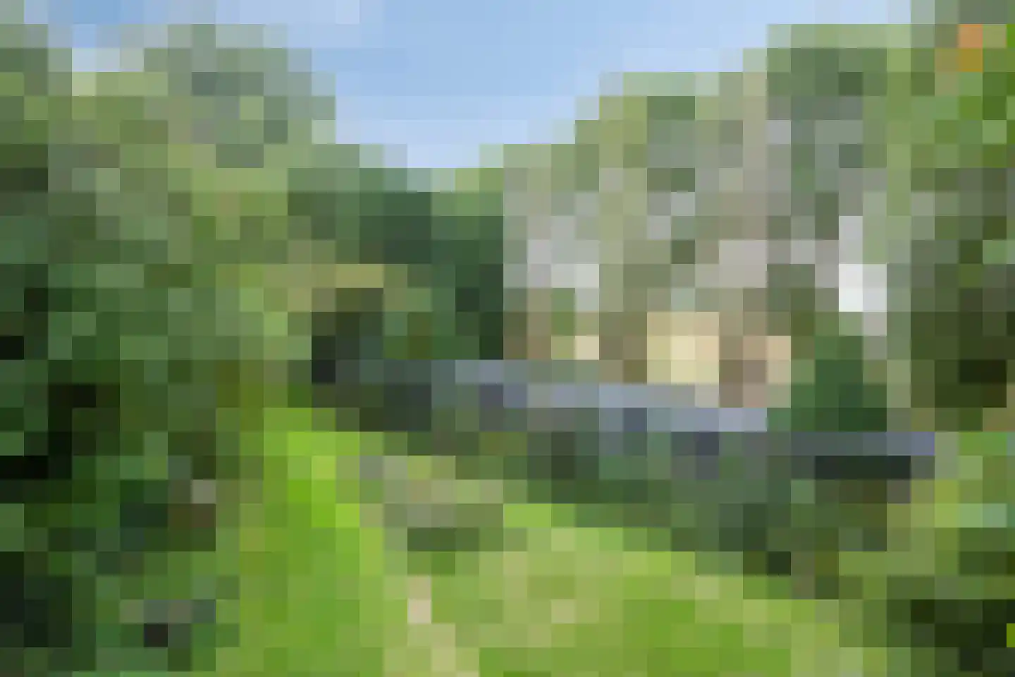 Waalbandijk 116 Dodewaard thumbnail 71