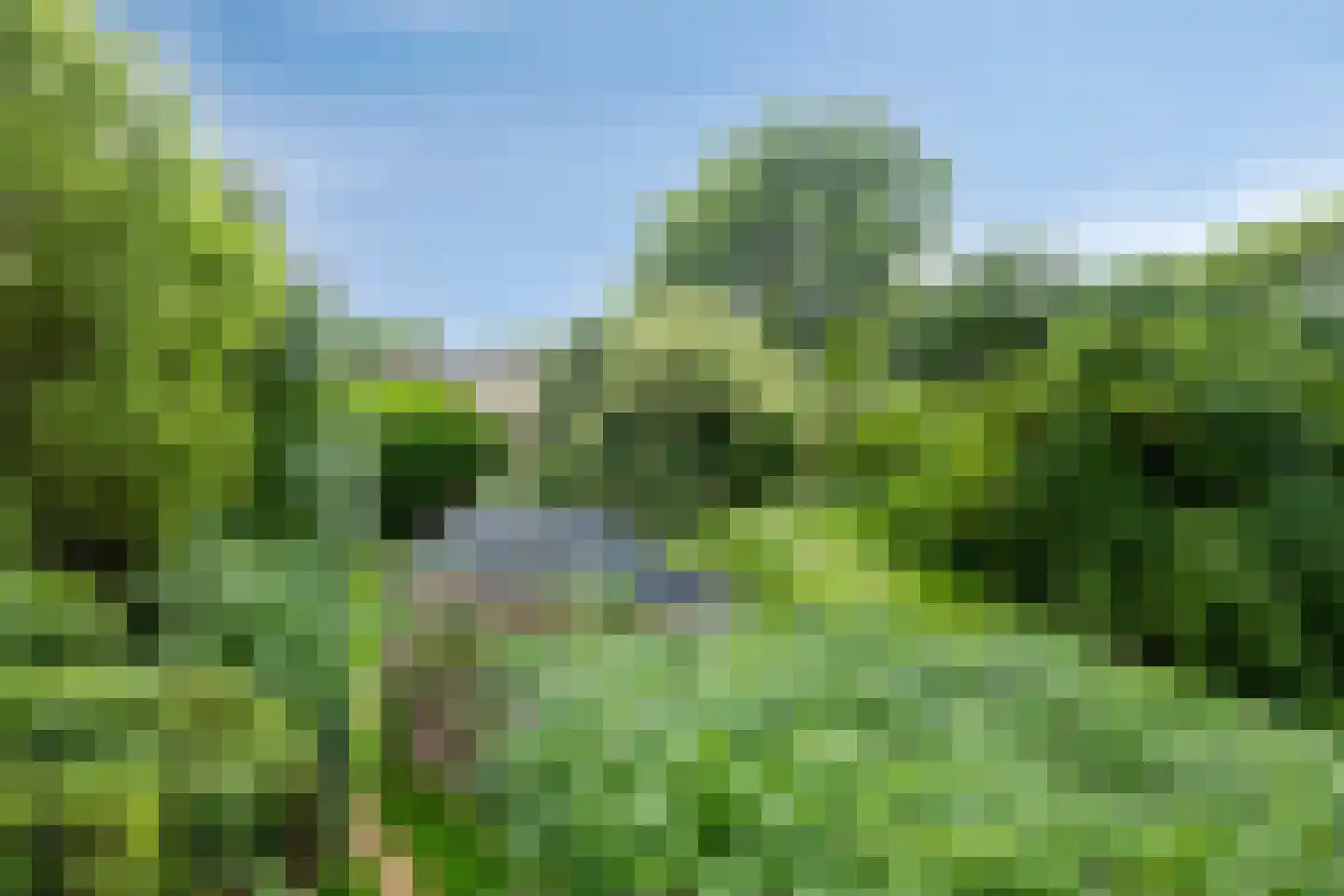 Waalbandijk 116 Dodewaard thumbnail 72