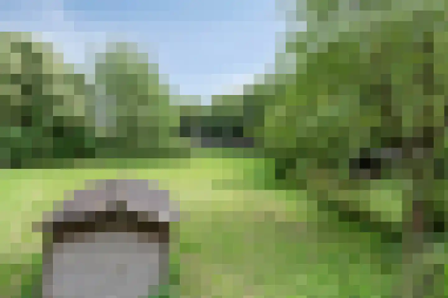 Waalbandijk 116 Dodewaard thumbnail 74