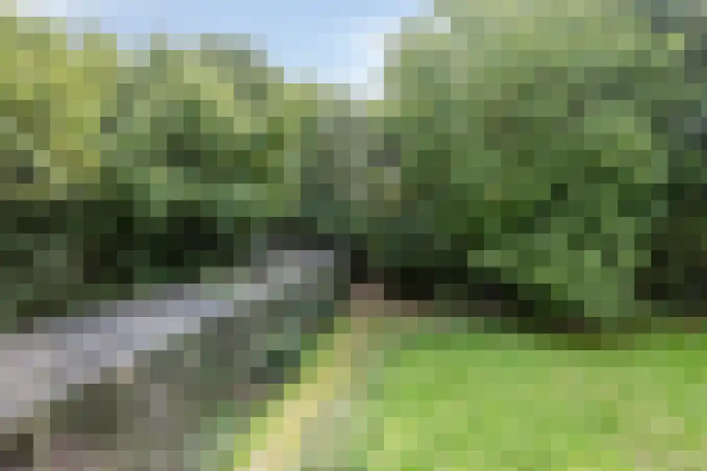 Waalbandijk 116 Dodewaard thumbnail 75