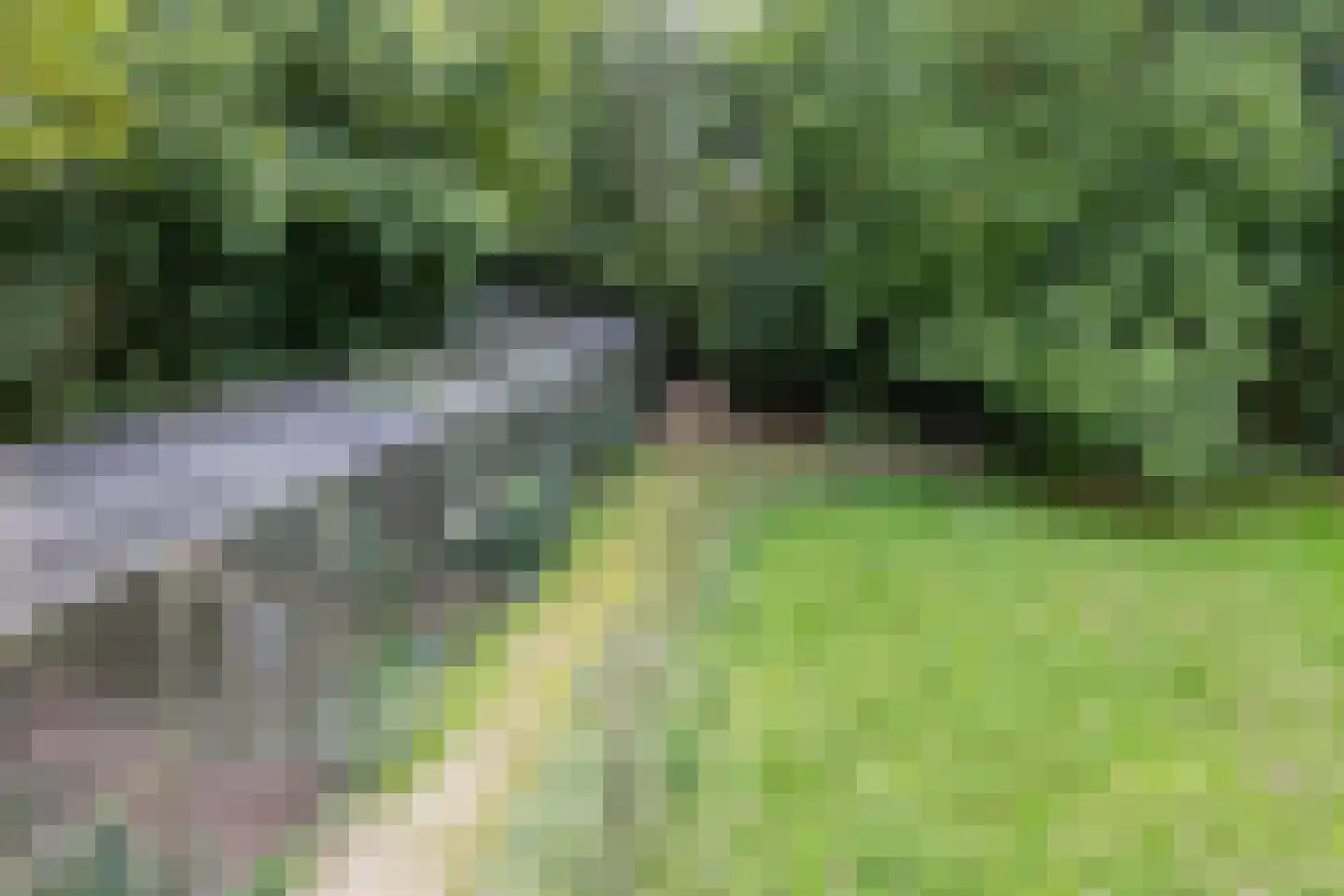 Waalbandijk 116 Dodewaard thumbnail 76