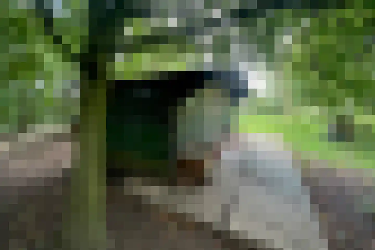 Waalbandijk 116 Dodewaard thumbnail 77