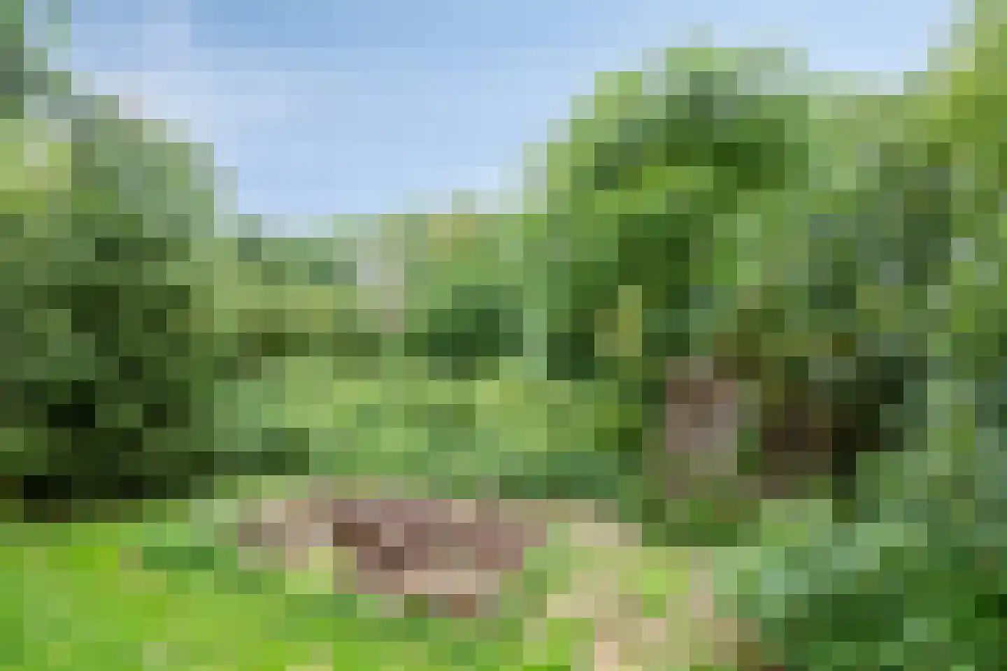 Waalbandijk 116 Dodewaard thumbnail 78
