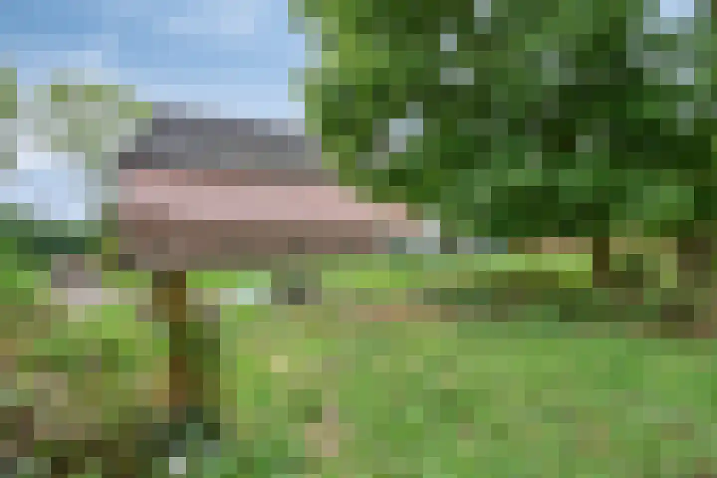Waalbandijk 116 Dodewaard thumbnail 79