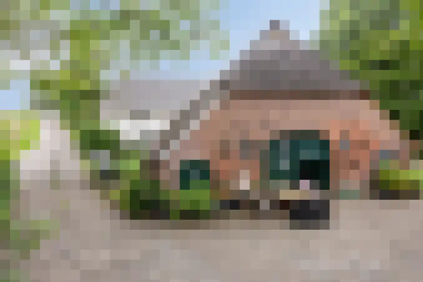 Waalbandijk 116 Dodewaard thumbnail 8