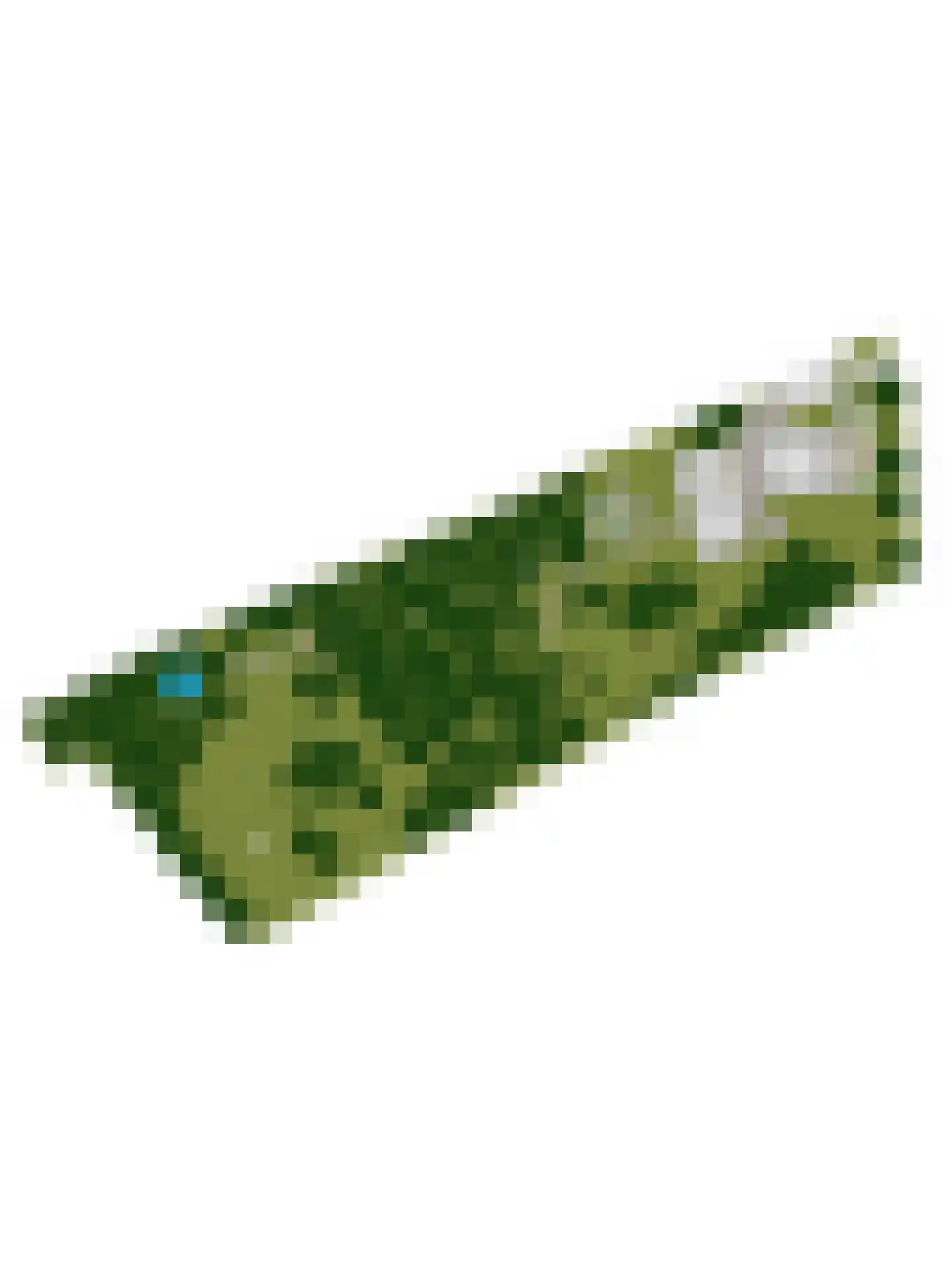 Waalbandijk 116 Dodewaard thumbnail 80