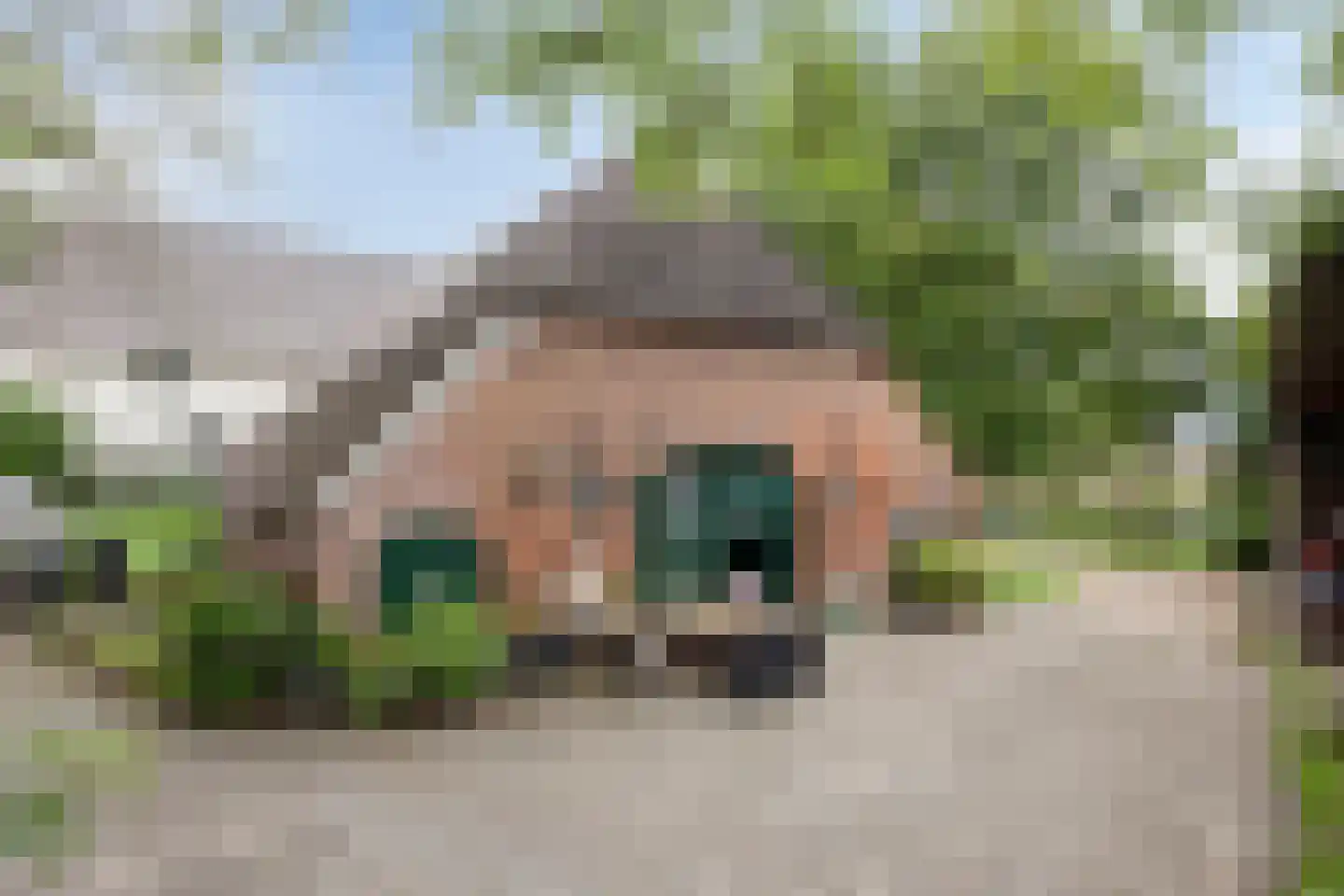 Waalbandijk 116 Dodewaard thumbnail 9