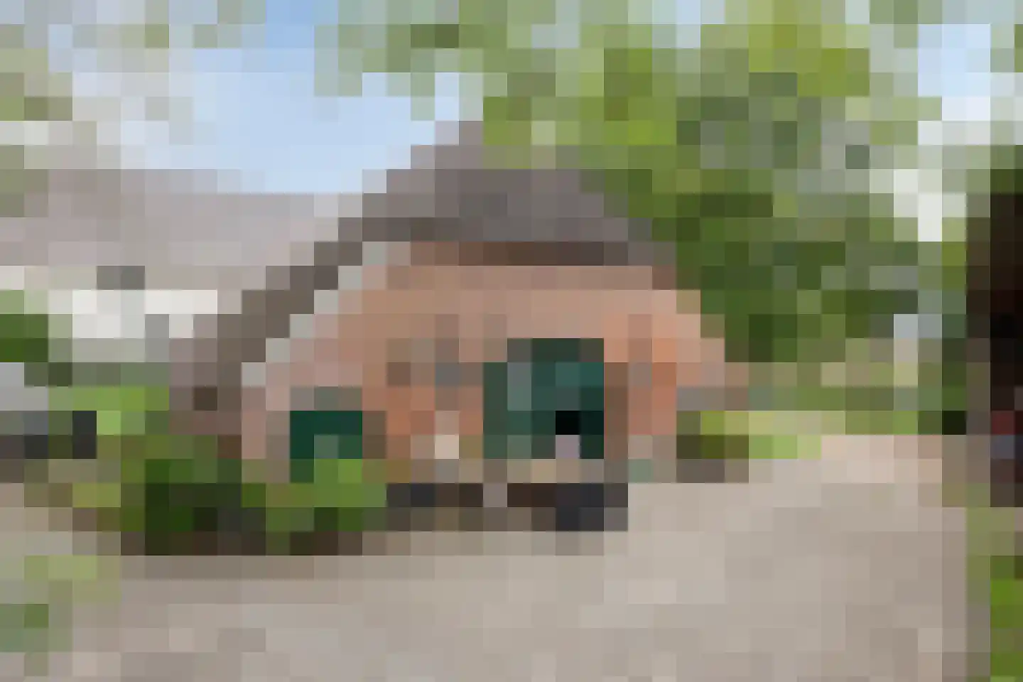 Waalbandijk 116 Dodewaard thumbnail 9