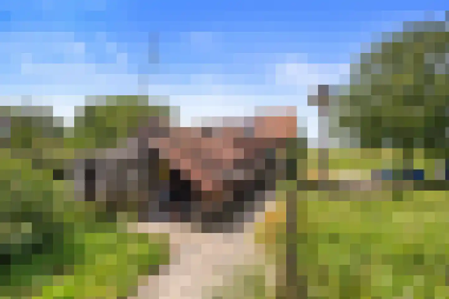 Waalbandijk 117 Wamel thumbnail 65