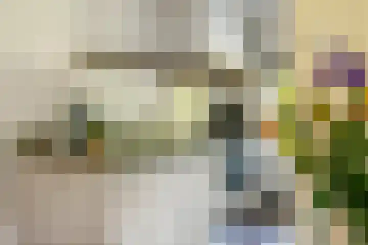 Waalbandijk 120 a Heesselt thumbnail 10