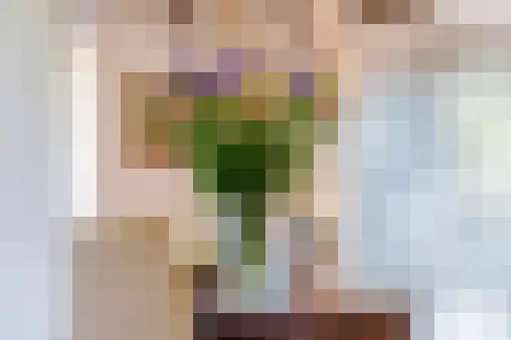Waalbandijk 120 a Heesselt thumbnail 11