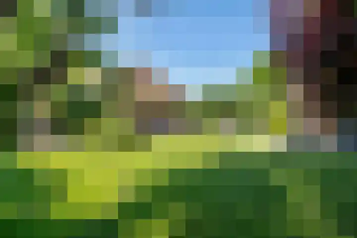 Waalbandijk 120 a Heesselt thumbnail 110