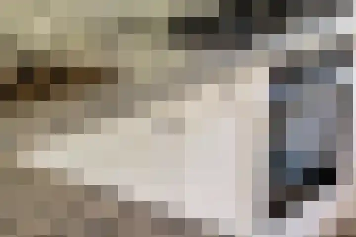 Waalbandijk 120 a Heesselt thumbnail 12