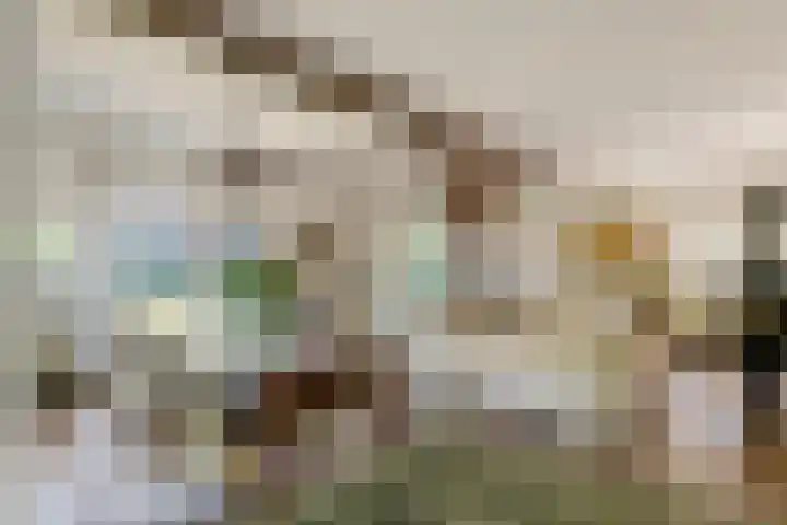 Waalbandijk 120 a Heesselt thumbnail 13