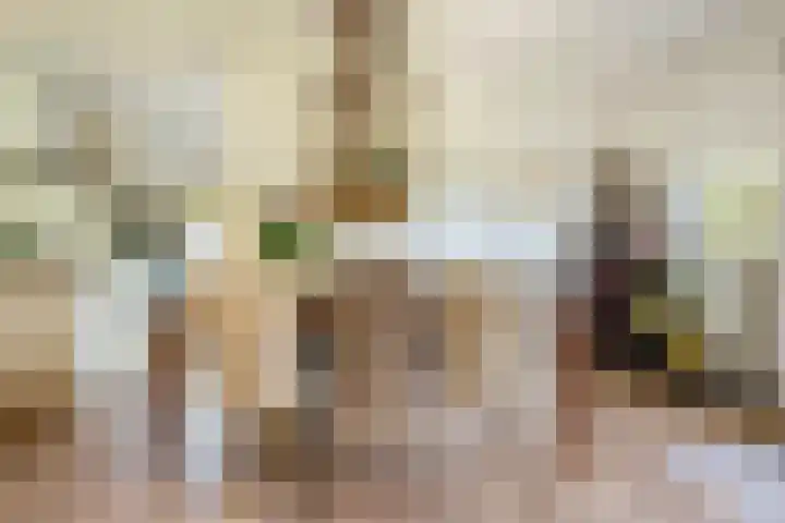 Waalbandijk 120 a Heesselt thumbnail 15