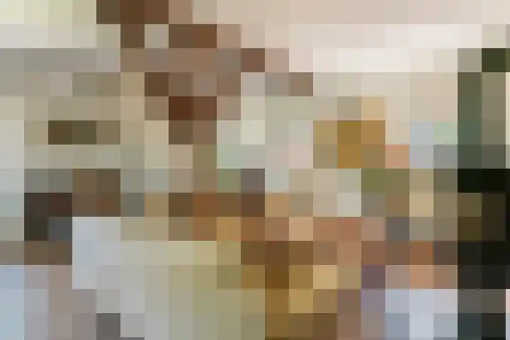 Waalbandijk 120 a Heesselt thumbnail 16