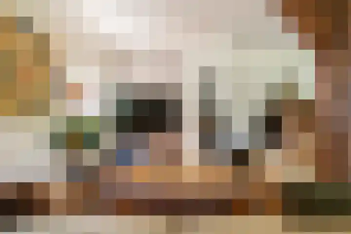 Waalbandijk 120 a Heesselt thumbnail 17