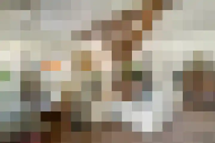 Waalbandijk 120 a Heesselt thumbnail 18