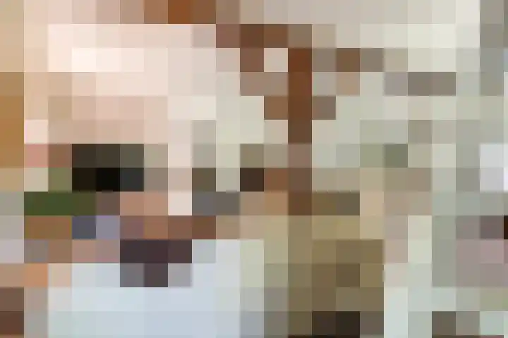 Waalbandijk 120 a Heesselt thumbnail 19