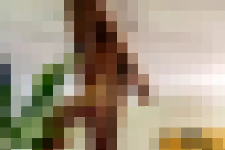 Waalbandijk 120 a Heesselt thumbnail 21