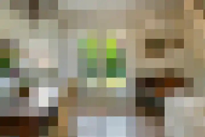 Waalbandijk 120 a Heesselt thumbnail 24