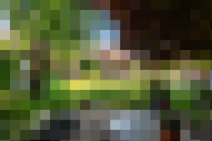 Waalbandijk 120 a Heesselt thumbnail 26