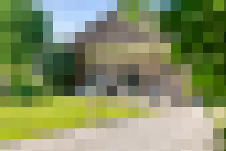 Waalbandijk 120 a Heesselt thumbnail 27
