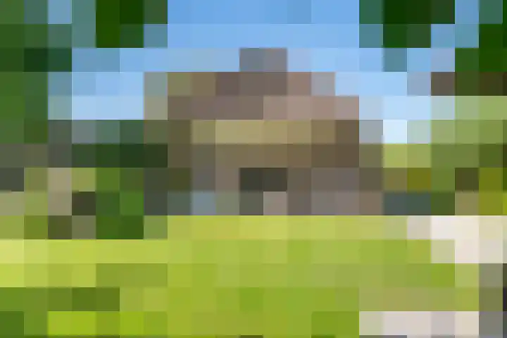 Waalbandijk 120 a Heesselt thumbnail 28
