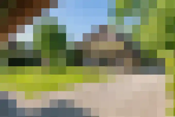 Waalbandijk 120 a Heesselt thumbnail 29