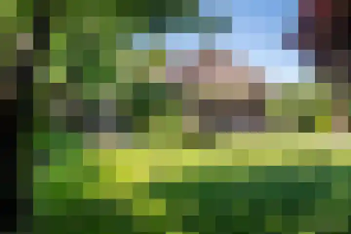 Waalbandijk 120 a Heesselt thumbnail 30