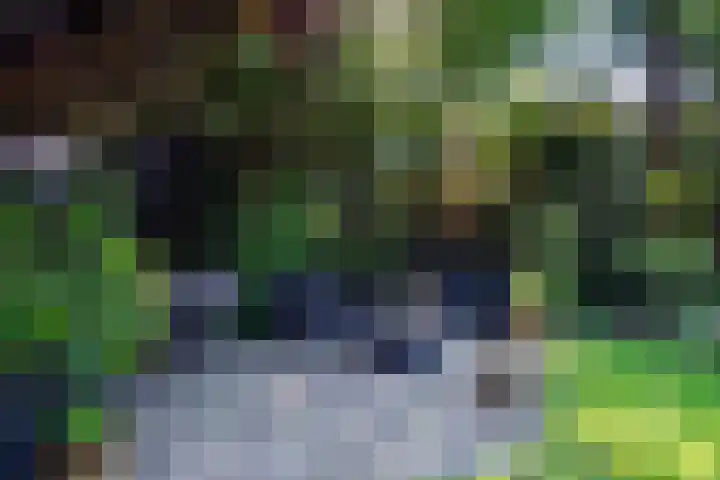 Waalbandijk 120 a Heesselt thumbnail 31