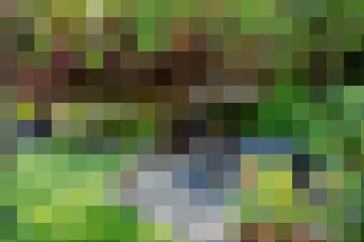 Waalbandijk 120 a Heesselt thumbnail 32