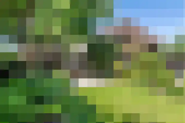 Waalbandijk 120 a Heesselt thumbnail 33
