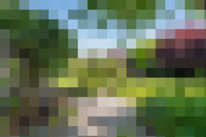 Waalbandijk 120 a Heesselt thumbnail 34