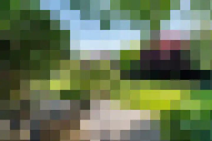 Waalbandijk 120 a Heesselt thumbnail 35