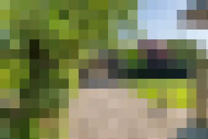 Waalbandijk 120 a Heesselt thumbnail 37