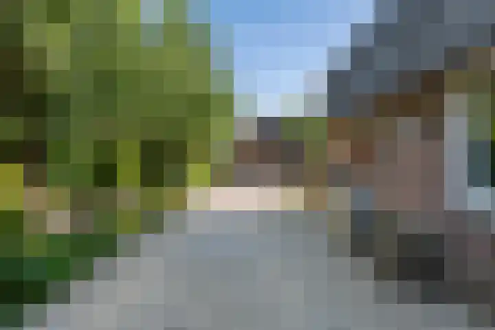 Waalbandijk 120 a Heesselt thumbnail 38