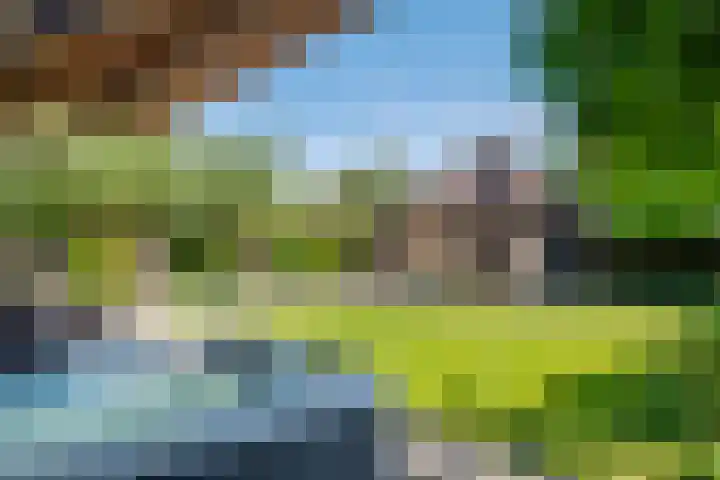 Waalbandijk 120 a Heesselt thumbnail 39