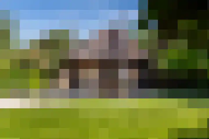 Waalbandijk 120 a Heesselt thumbnail 40