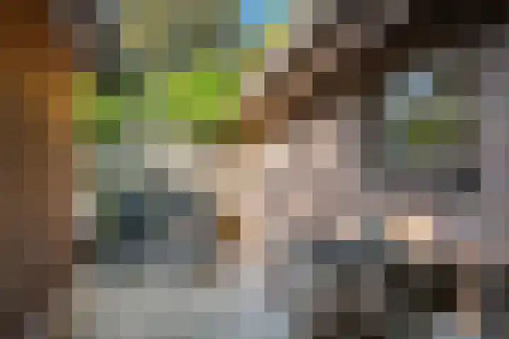 Waalbandijk 120 a Heesselt thumbnail 41