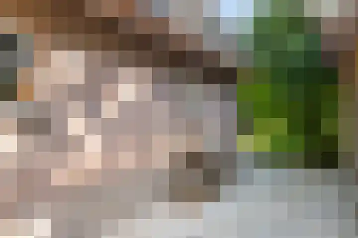 Waalbandijk 120 a Heesselt thumbnail 42