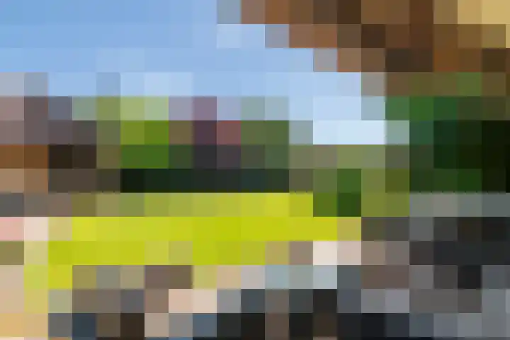 Waalbandijk 120 a Heesselt thumbnail 43