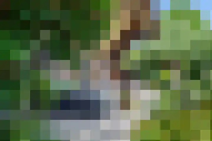 Waalbandijk 120 a Heesselt thumbnail 45