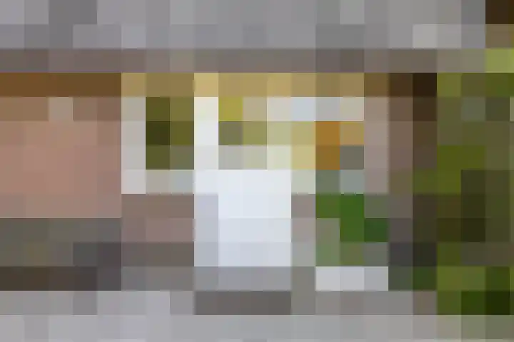 Waalbandijk 120 a Heesselt thumbnail 46